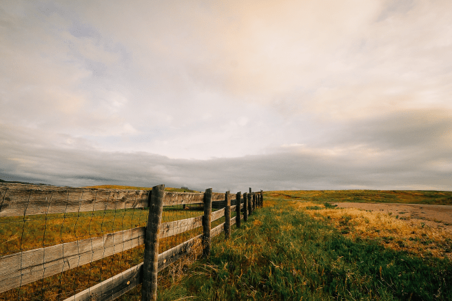 20160706-dsc_8215-copy