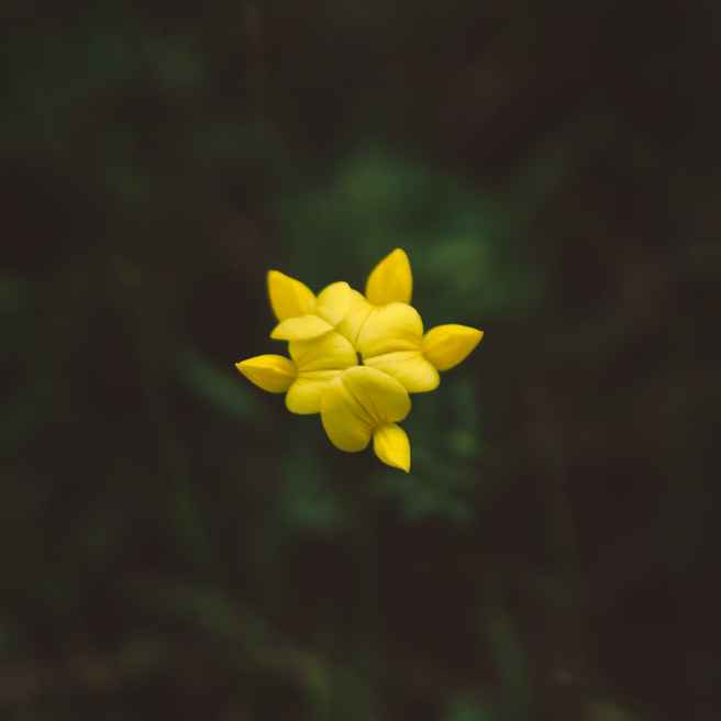 20160801-DSC_8616-Edit copy 22