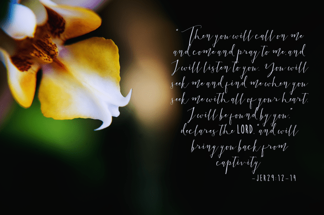 20170226-DSC_0759-Edit-Edit copy