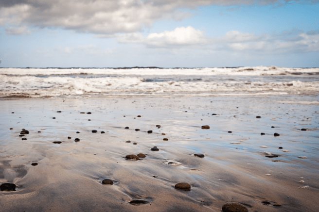 20190522-DSCF0496-Edit-2 copy